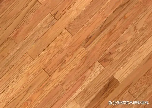 运动地板_地板运动有哪些_地板运动报价